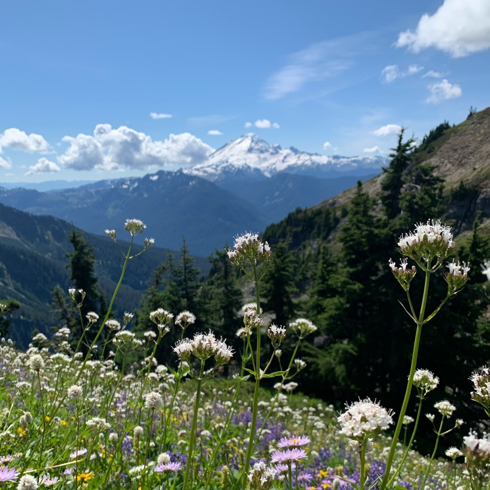 Meet your Posher, Zoë